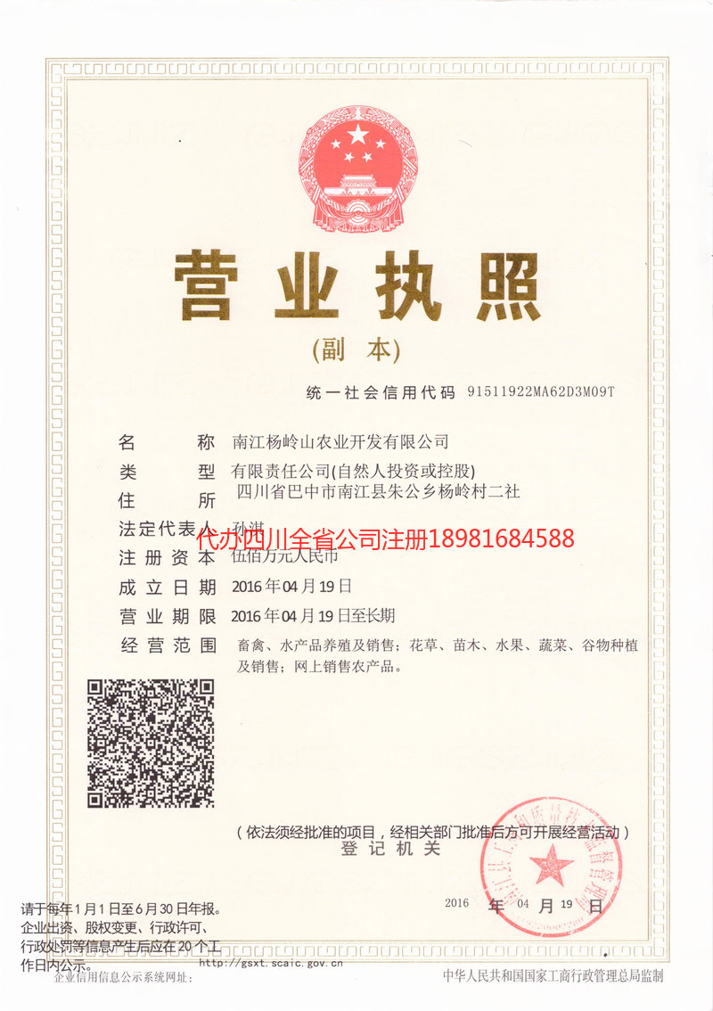 桦甸桦甸杨岭山农业开发有限公司